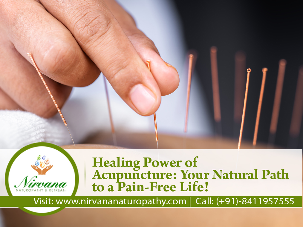 acupuncture therapy At Nirvana Naturopathy Ayurveda Hospital & Retreat